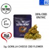 39% CBD FLOWER GORILLA CHEESE 5G - TATRA HEMP
